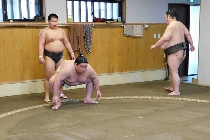 Sumo Morning Practice Tour In Tokyo Sumida City Quick Takeaways