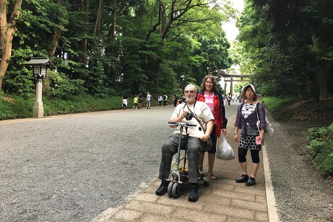 Full-Day Accessible Tour of Tokyo for Wheelchair Users - Miscellaneous