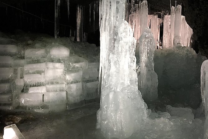 Experience the Stunning Nature of Mt.Fuji - Private Tour - Reviews