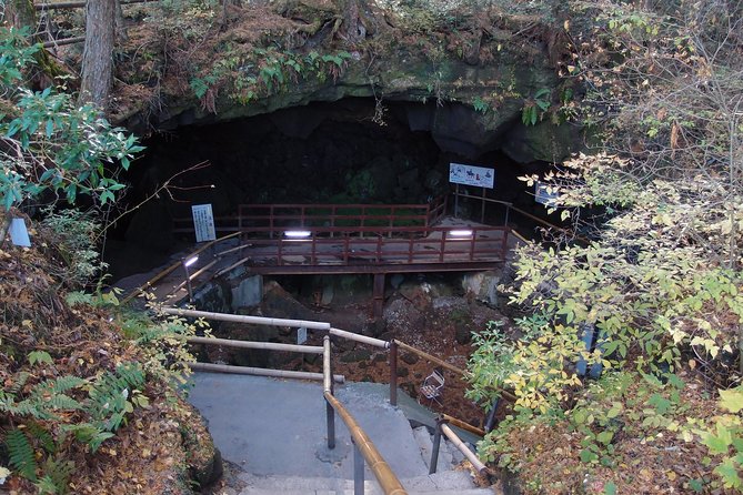 Experience the Stunning Nature of Mt.Fuji - Private Tour - Frequently Asked Questions