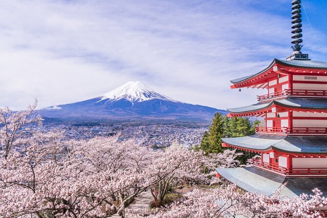 Private Mt Fuji Custom Tour From Tokyo Private Mt. Fuji Custom Tour From Tokyo - Tour Details