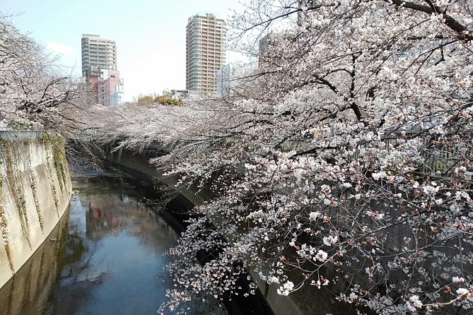 Tokyo 1-Day Private Tour/Customization & Hotel Gathering OK! - Inclusions and Activities