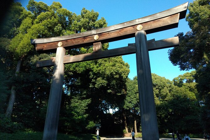 Tokyo 1-Day Private Tour/Customization & Hotel Gathering OK! - Itinerary Overview