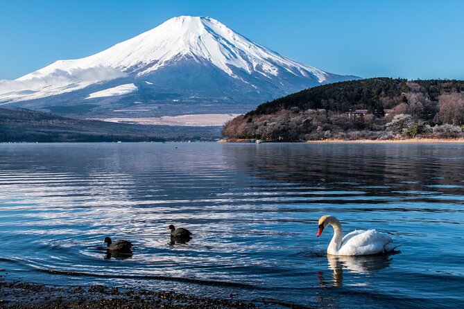 Private Mount Fuji Tour - Bilingual Chauffeur - up to 5 Travelers - Language Support and Bilingual Chauffeur