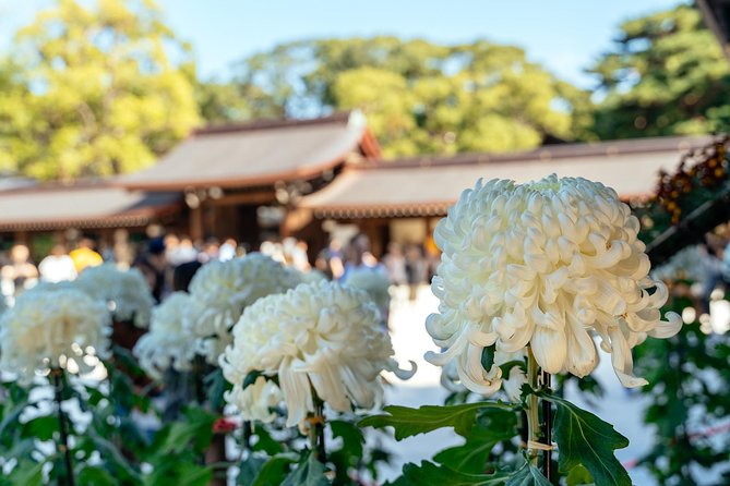 Private City Kickstart Tour: Tokyo - Reviews and Testimonials From Satisfied Travelers