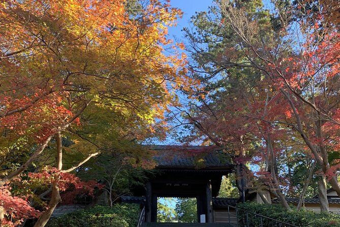 Kamakura Flower Tour - Tour Highlights