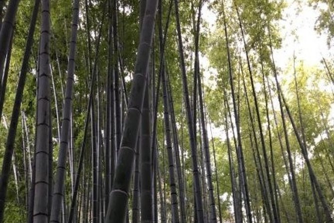 Kamakura Flower Tour - Customer Support and Assistance