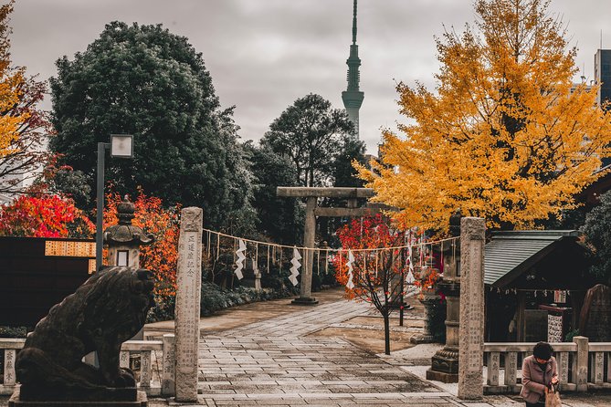 Tokyo Full Day Explorer Walking Tour - Frequently Asked Questions