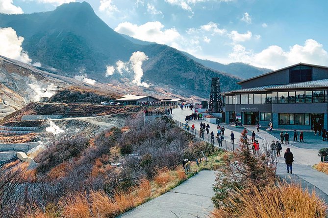 Hakone Private One Day Tour From Tokyo: Mt Fuji, Lake Ashi, Hakone National Park - Additional Information