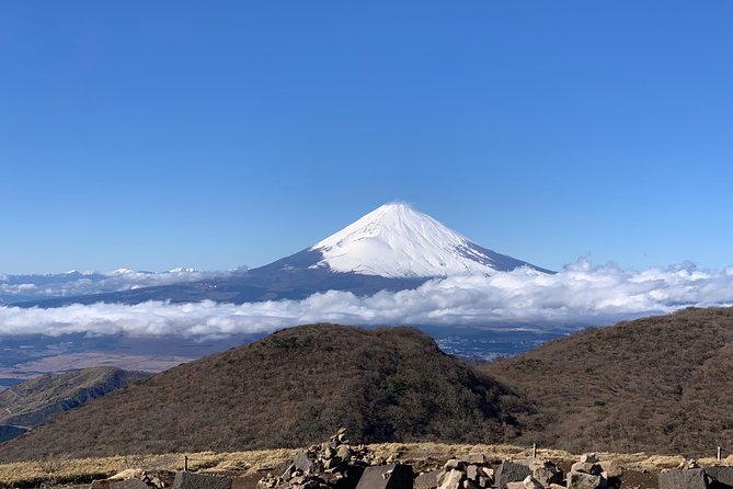 Hakone Private One Day Tour From Tokyo: Mt Fuji, Lake Ashi, Hakone National Park - The Sum Up