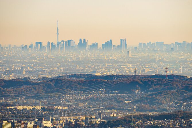 Mt.TAKAO Trekking 1 Day Tour - Local Cuisine Experience