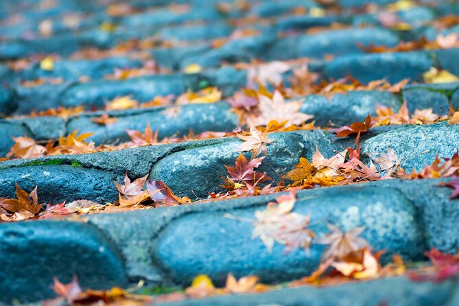 Mt.TAKAO Trekking 1 Day Tour - Tour Highlights