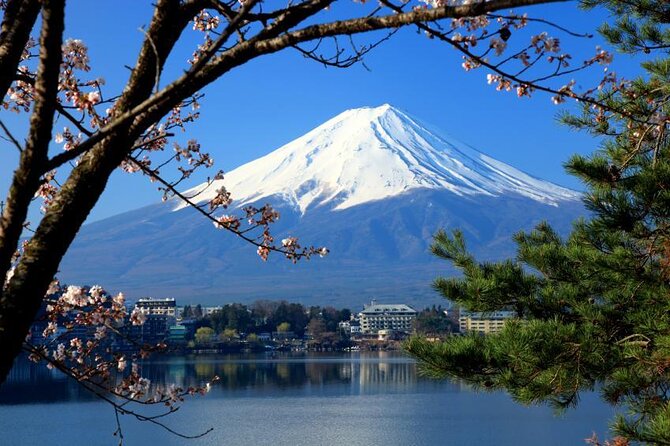 mt-fuji-and-hakone-tour-quick-takeaways