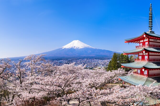 Mt.Fuji and Hakone Tour - Tour Highlights