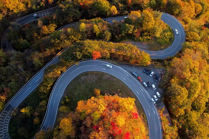 Explore the Culture and History of Nikko With This Private Tour - The Sum Up