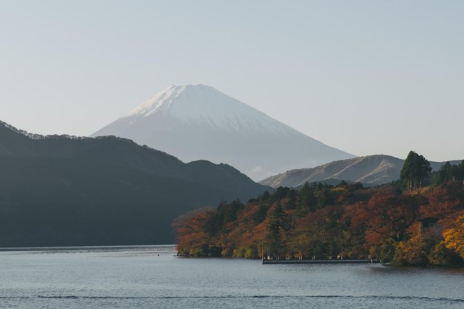 Mount Fuji Day Trip From Tokyo With a Local: Private & Personalized - Hakone Freepass and Flexibility