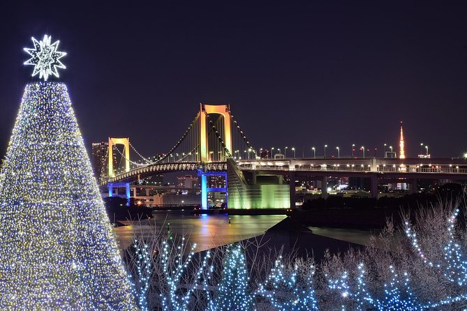 Tokyo Christmas Tour With a Local Guide: Private & Tailored to You - Pricing and Booking