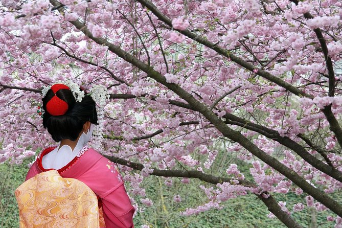 Private & Unique Tokyo Cherry Blossom "Sakura" Experience - Pricing and Copyright