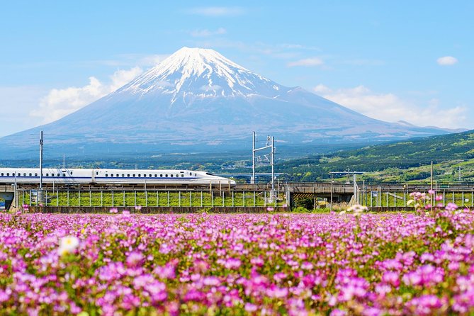 Bullet Train and Mt. Fuji Famous Food Tour - Food and Beverage Experience