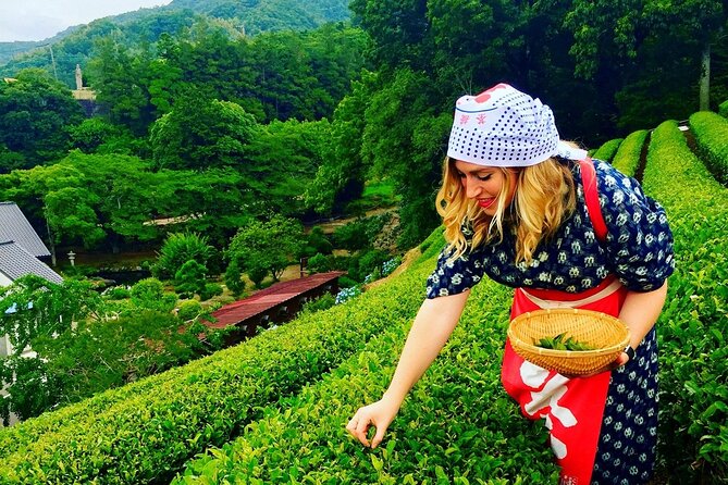 Virtual Tour to Discover Mount Fuji - Tour Itinerary