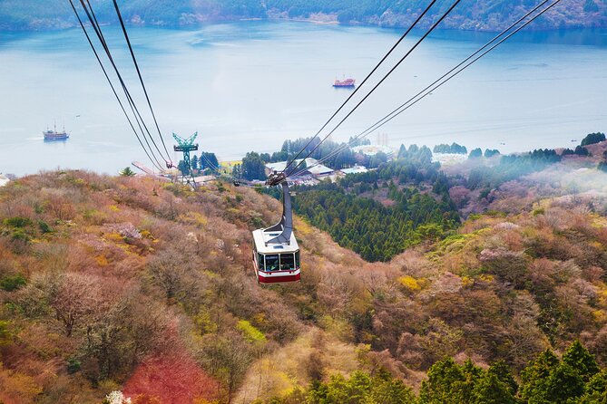 Full Day Private Tour Mt. Fuji, Hakone and Lake Ashi - Hakone Sightseeing