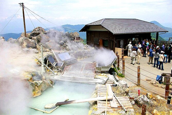 Lake Ashi Hakone Owakudani Kowakien With Daily Chauffeur - Weather and Cancellation Policy