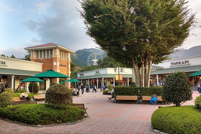 Mount Fuji Panoramic View & Shopping Day Tour - The Sum Up
