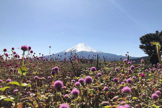 Mt Fuji With Kawaguchiko Lake Day Tour - Booking Information