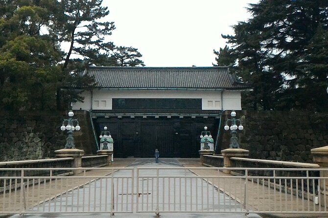 Visit Tokyo City in Group With the Italian Speaking Guide Full Day - Tour Details