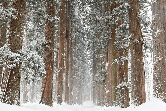 One Way Private Shuttle to Nagano Ski Centers - Shuttle Routes and Ski Centers