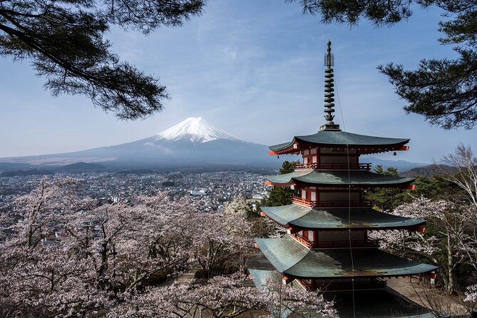 Private Japan Photo Tour - Pricing and Value