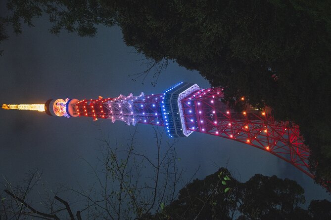 1 Day Tokyo Private Tour With English Speaking Guide - Private Transportation