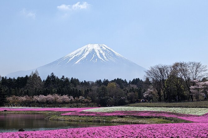 Private Car Mt Fuji and Gotemba Outlet in One Day From Tokyo - Frequently Asked Questions