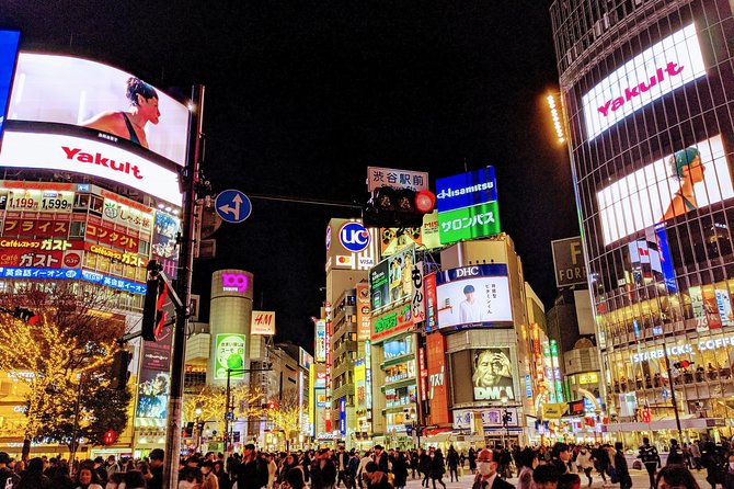 Tokyo Private Car Tour: Professional Guide and Driver/Optional Airport Xfer - Professional Guide and Driver Services