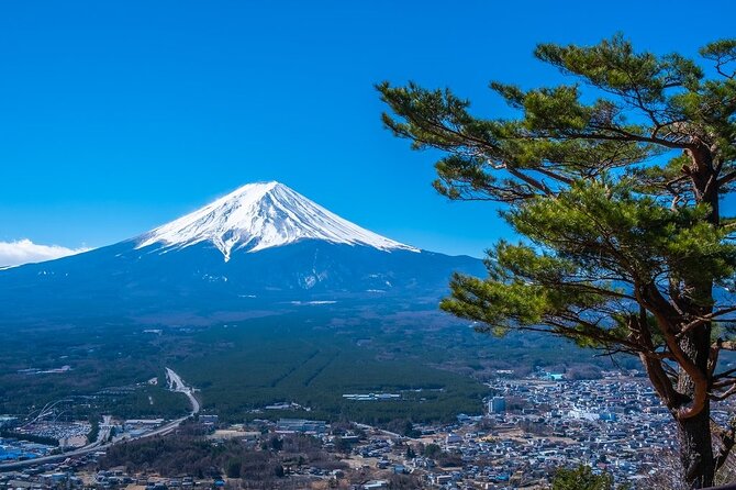 Mount Fuji Private Tour by Car With Pick up - Tour Highlights