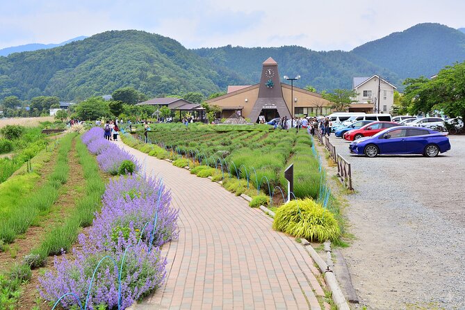 Mt.Fuji Tour: 3-Parks & The Healing Village in Fujiyoshida, Japan - The Sum Up