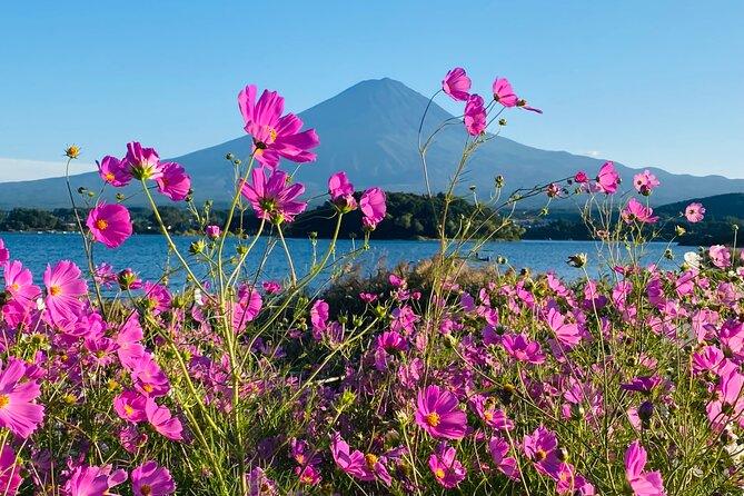 Mt. Fuji Private Sightseeing With Bilingual Chauffeur - Tour Details