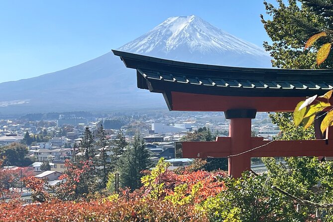 Mt. Fuji Private Sightseeing With Bilingual Chauffeur - What to Bring