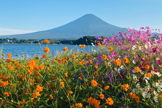 Mt. Fuji Private Sightseeing With Bilingual Chauffeur - Reviews