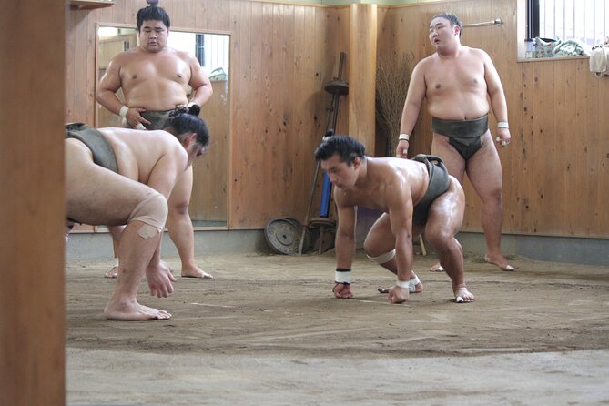 Experience the World of Sumo - Feedback From Guests