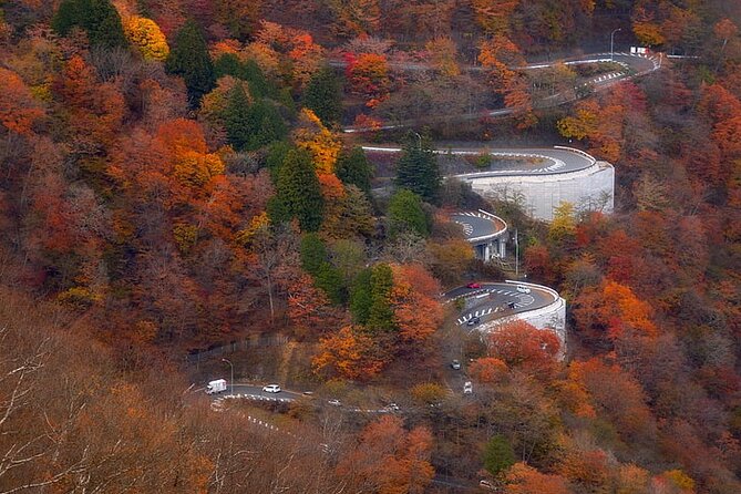 Nikko Private Day Trip With English Speaking Driver - Refund and Cancellation Policy