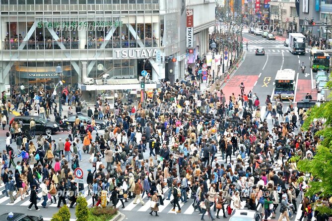 Tokyo Tour, From/To, Yokohama City, Tokyo City and TDR Area - Customer Reviews - Customer Service