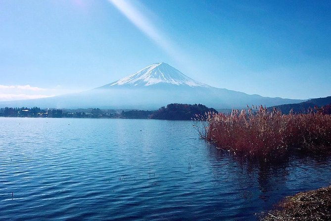 Private Custom Tokyo Tour Vip Private Custom Tokyo Tour VIP - Explore Tokyos Top Attractions