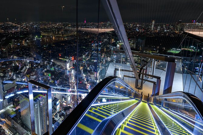 Private Airport Transfer Haneda Airport(Hnd) to Tokyo City - Pickup Details