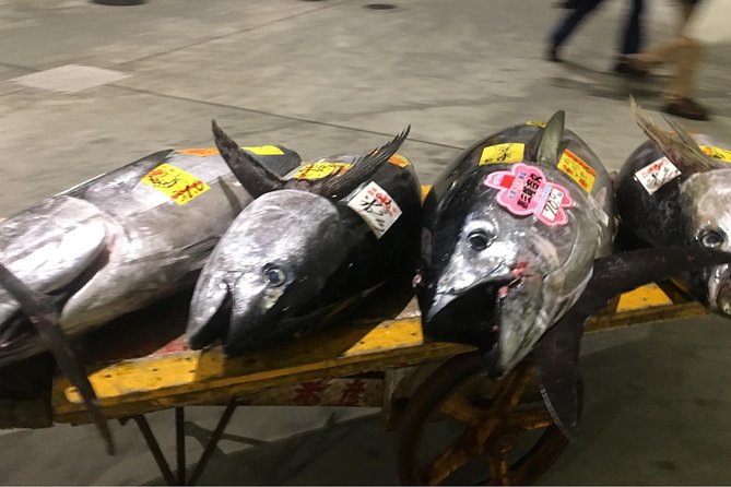 Special Access at Toyosu Fish Market With Hotel Pick up - Cancellation Policy