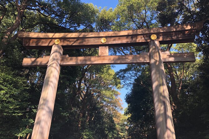 Introductory Tokyo Tour for the First Timers: Learn Basic Travel Tips and Tricks - Frequently Asked Questions