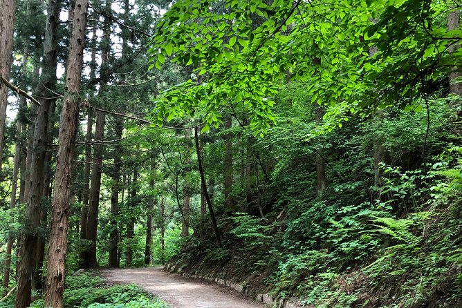 3-Day Private Tokyo and Nagano: Snow Monkeys, Tsukiji Market and Bullet Train - Itinerary Highlights