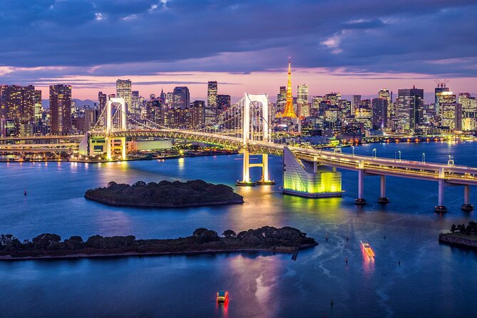 Private Transport Tokyo City Night View Tour - Date and Travelers