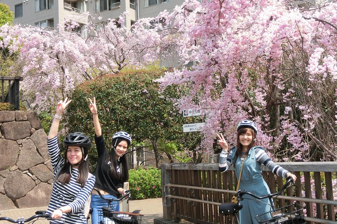 Tokyo Cherry Blossoms Blooming Spots E-Bike 3 Hour Tour - Reviews