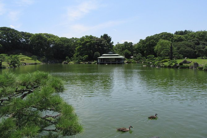Tokyo by Bike: Skytree, Kiyosumi Garden and Sumo Stadium - Serene Kiyosumi Garden Exploration